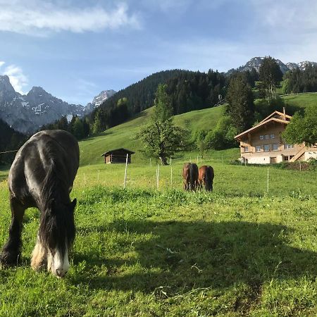 代堡Au Pre Des Chevaux住宿加早餐旅馆 外观 照片