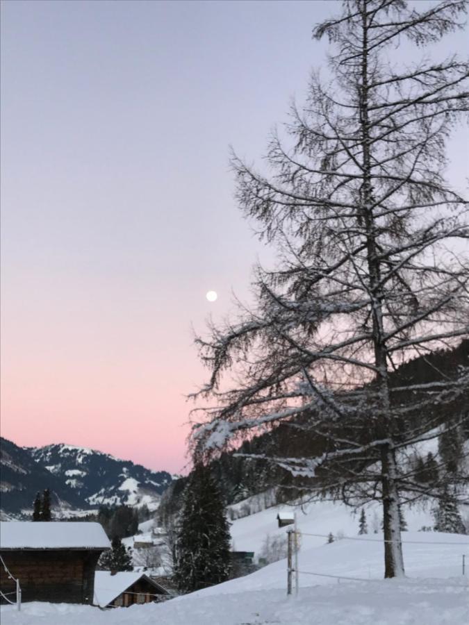 代堡Au Pre Des Chevaux住宿加早餐旅馆 外观 照片