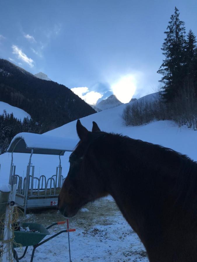 代堡Au Pre Des Chevaux住宿加早餐旅馆 外观 照片