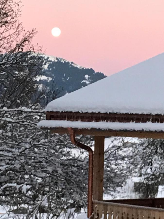 代堡Au Pre Des Chevaux住宿加早餐旅馆 外观 照片