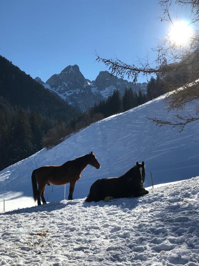 代堡Au Pre Des Chevaux住宿加早餐旅馆 外观 照片