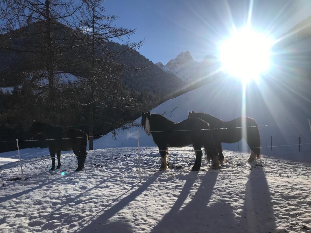 代堡Au Pre Des Chevaux住宿加早餐旅馆 外观 照片