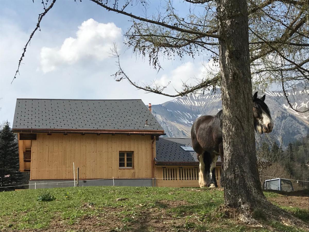 代堡Au Pre Des Chevaux住宿加早餐旅馆 外观 照片