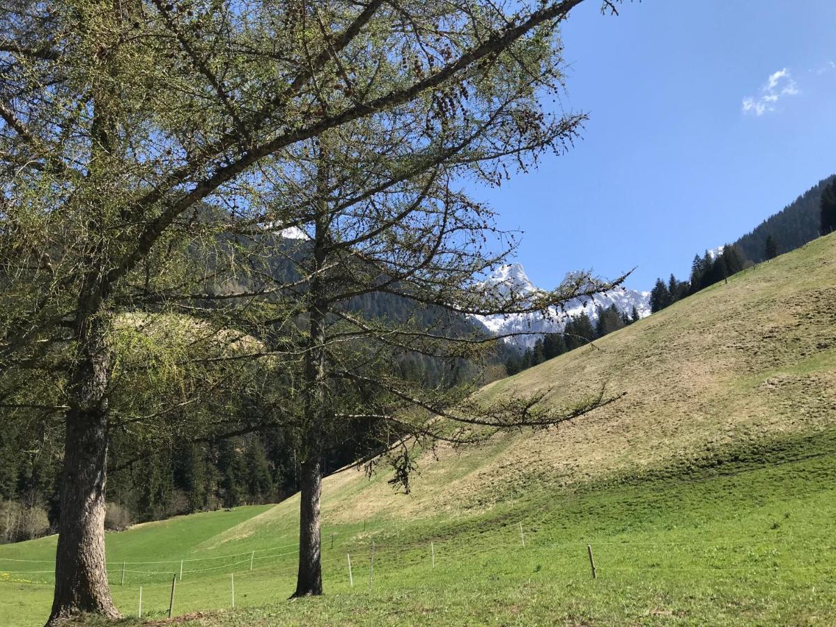 代堡Au Pre Des Chevaux住宿加早餐旅馆 外观 照片