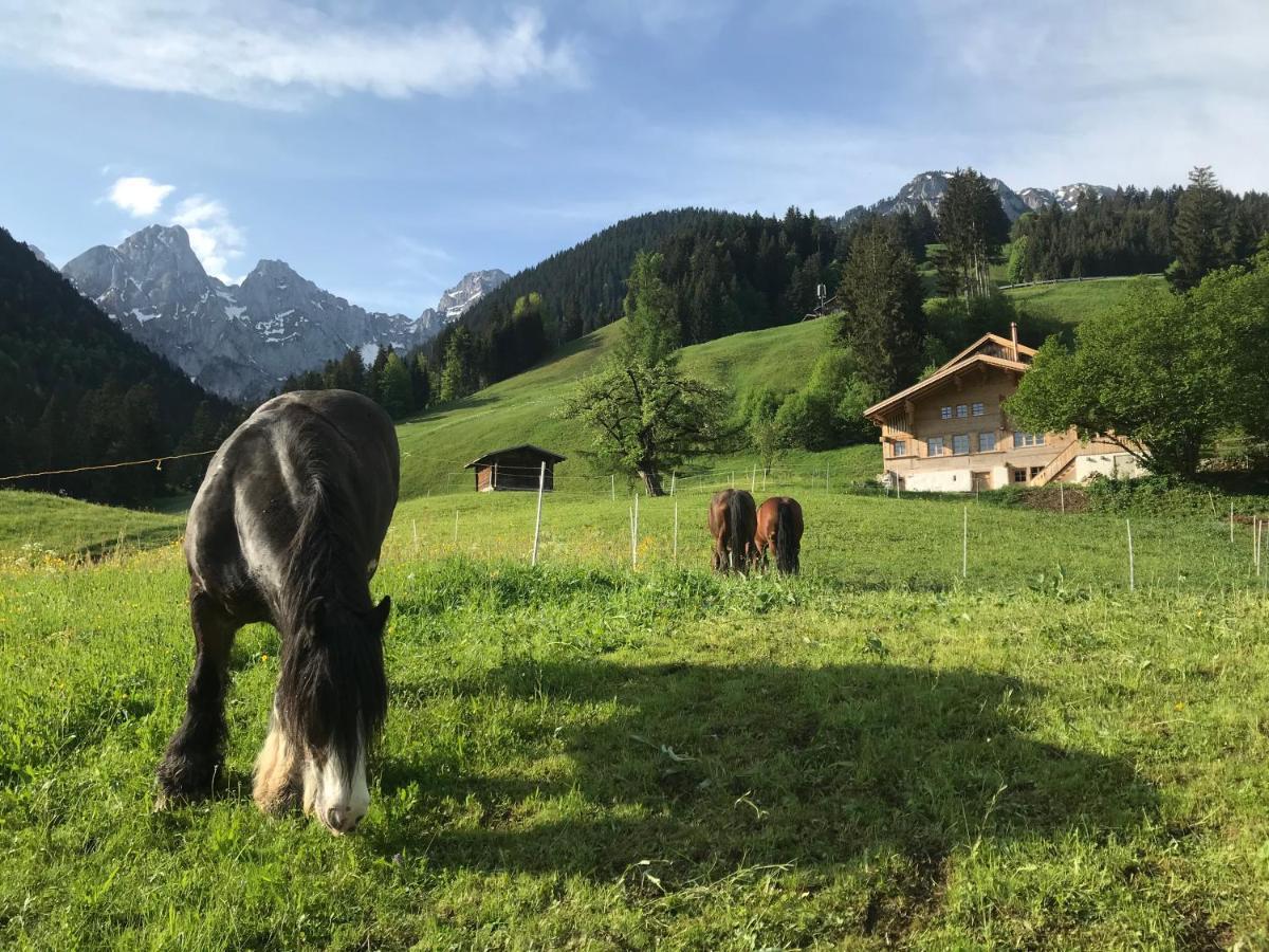 代堡Au Pre Des Chevaux住宿加早餐旅馆 外观 照片